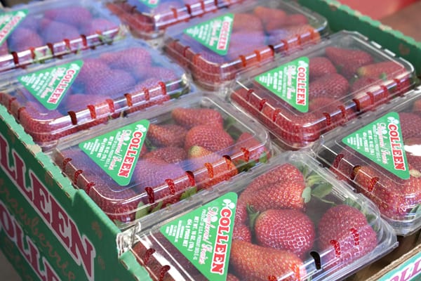 package-strawberries.jpg
